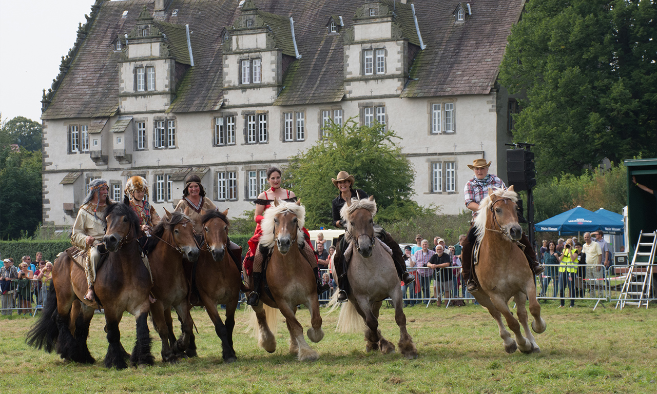 gutscheinbox-pferdestark-quadrille Pferdestark – Show
