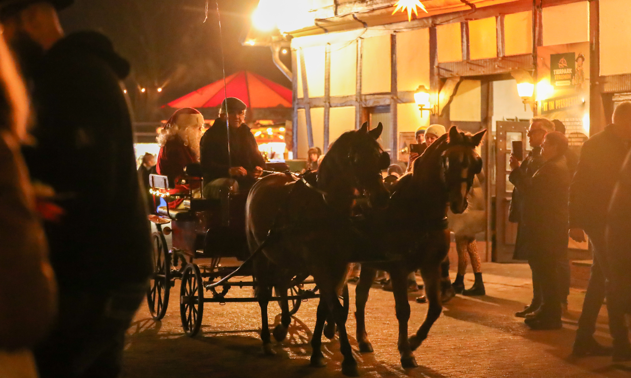 Pferdekutsche zur Weihnachtszeit im Tierpark Ströhen