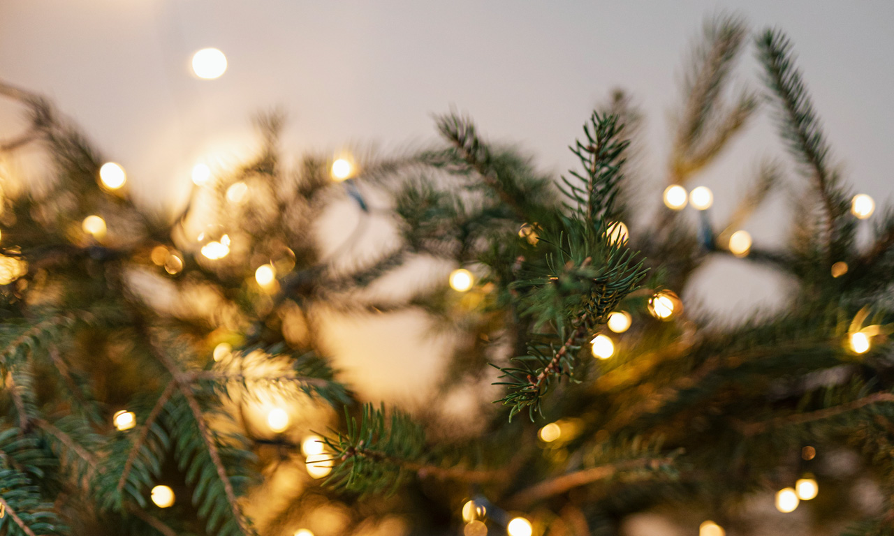 gutscheinbox liknaris Weihnachtsbaum mit Lichtern