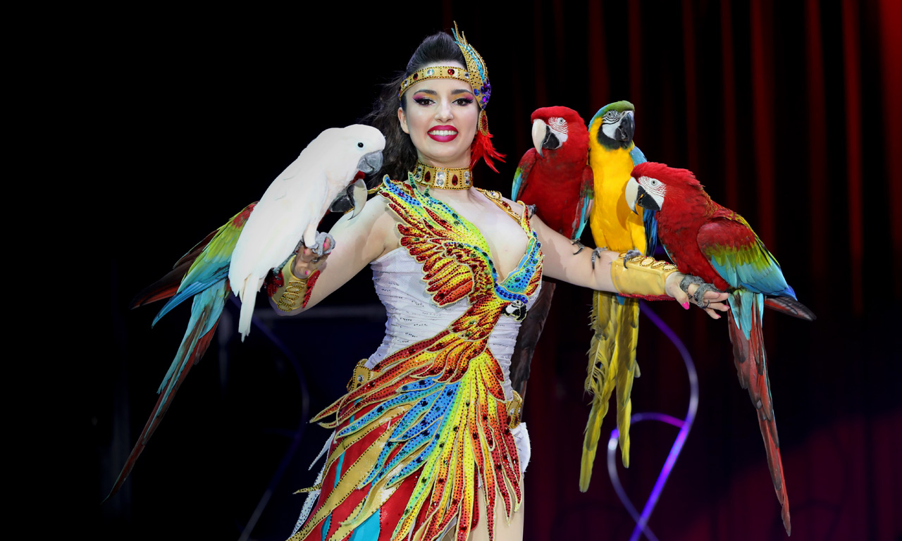 Gutschein: Zirkus Charles Knie